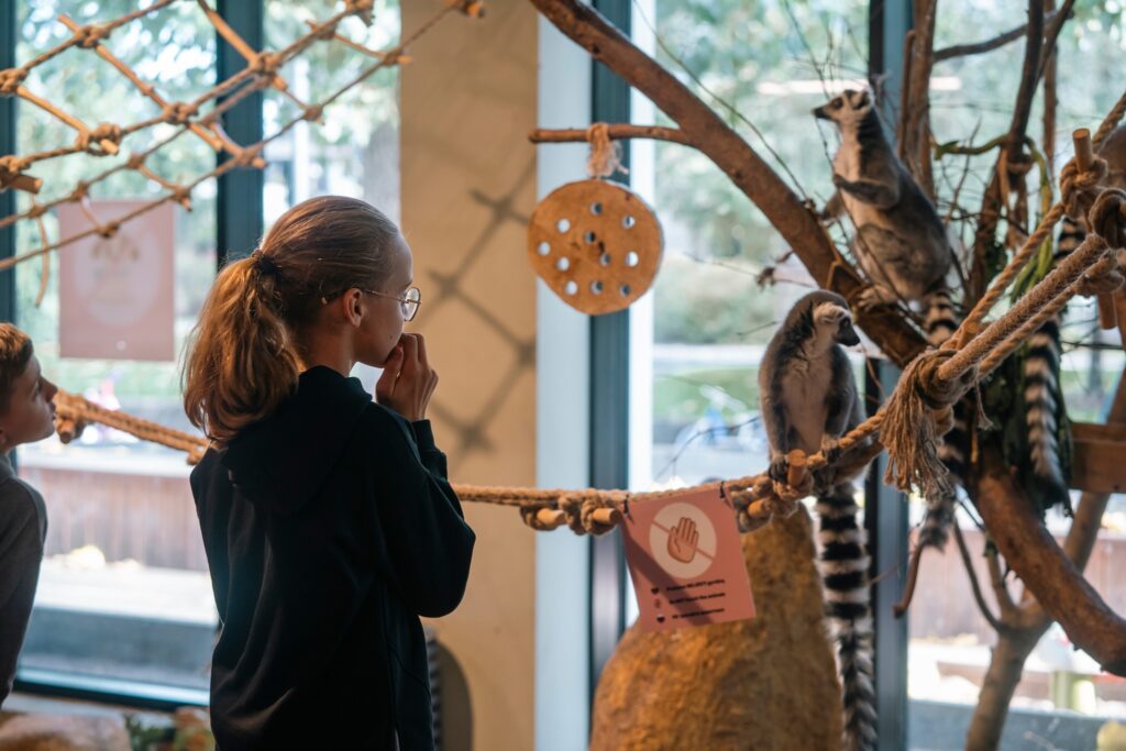 Kultūros paso edukacijos Zooparke su gyvūnais