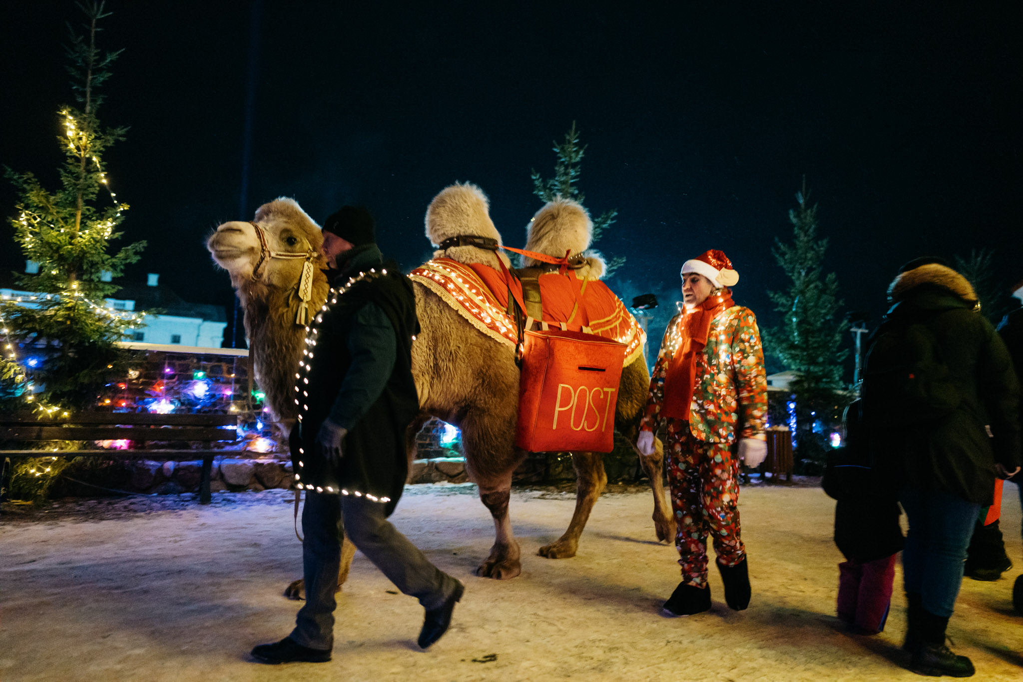 Pakruojo dvaro kupranugaris