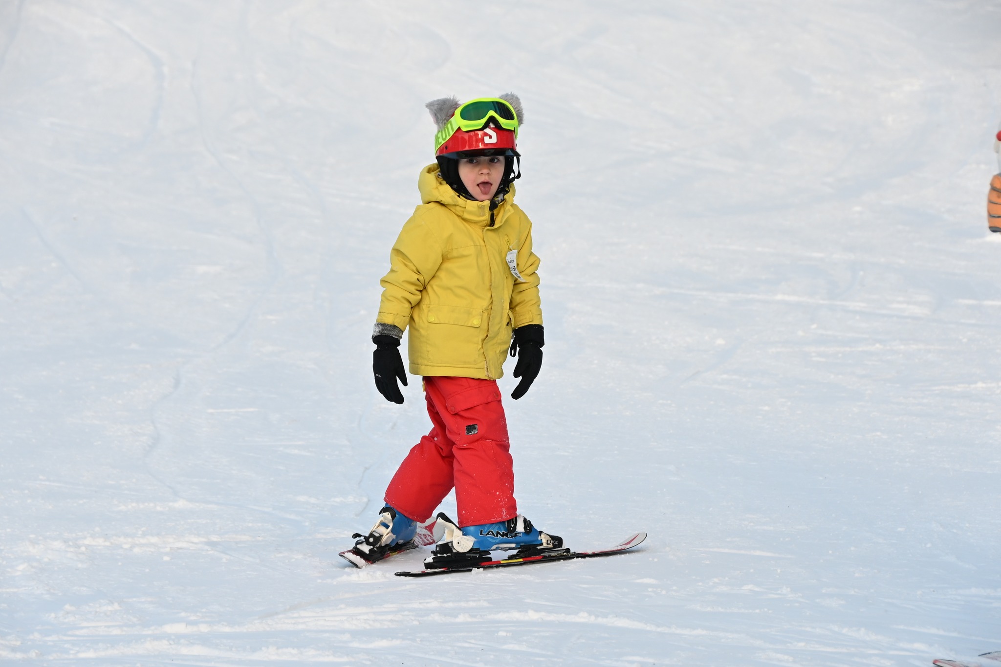 Ką veikti Ignalinos rajone žiemą: nuo adrenalino iki jaukios ramybės