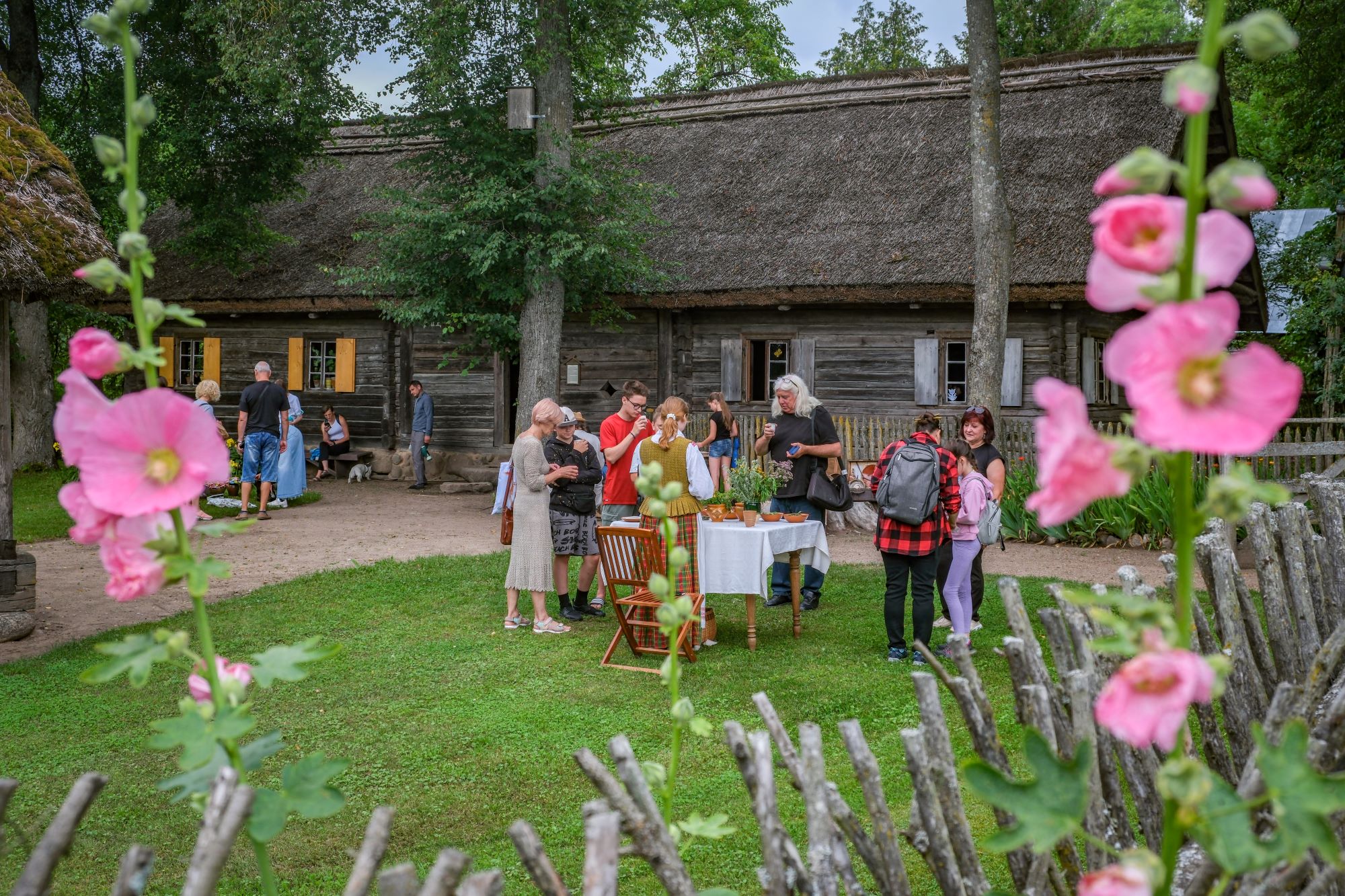 Kleboniškių kaimas atgyja – sugrįžta Senųjų amatų ir edukacijų dienos (Lauros Prascevičiūtės nuotr.)