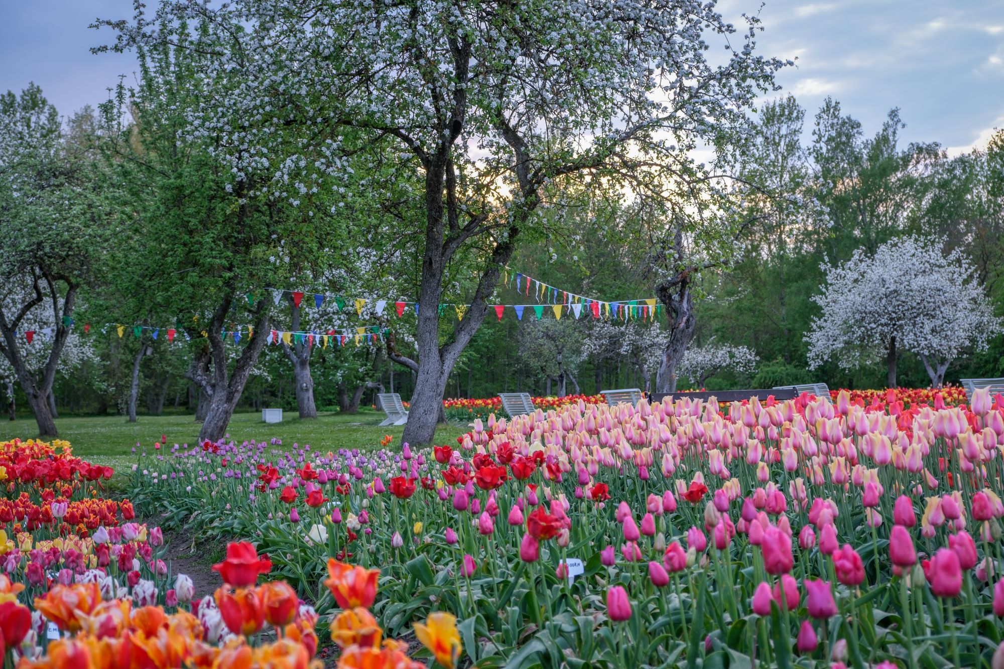 Burbiškio dvaras. Lauros Prascevičiūtės nuotr.