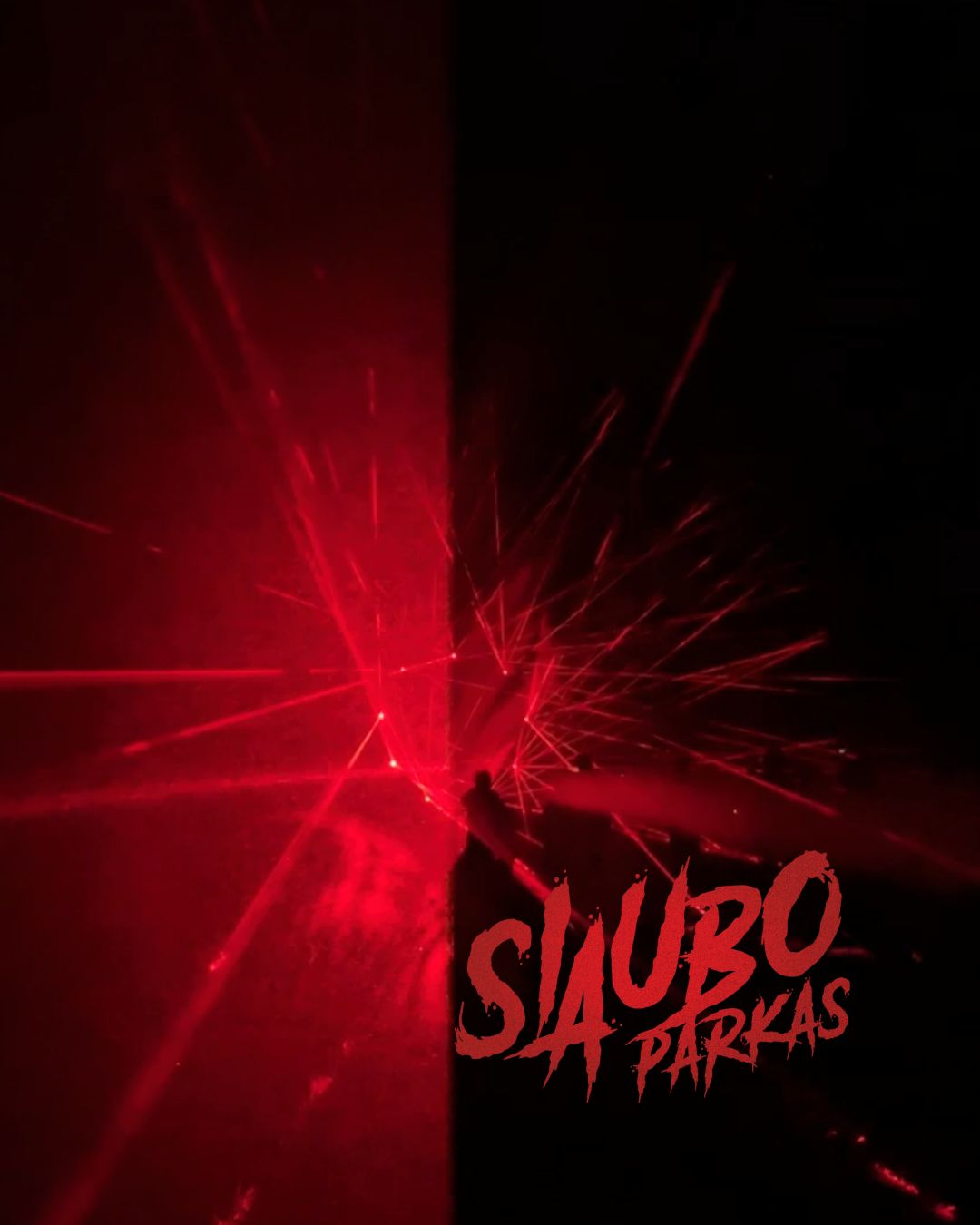 Lazerių šou Siaubo parke Anykščiuose