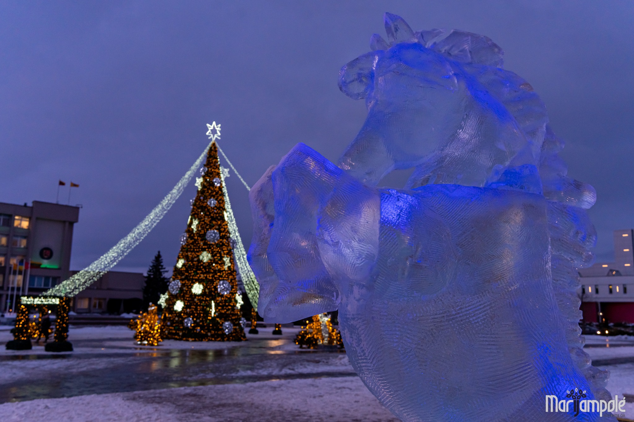 Žiemos magija Marijampolėje: ledo skulptūros, kurias norisi pamatyti gyvai