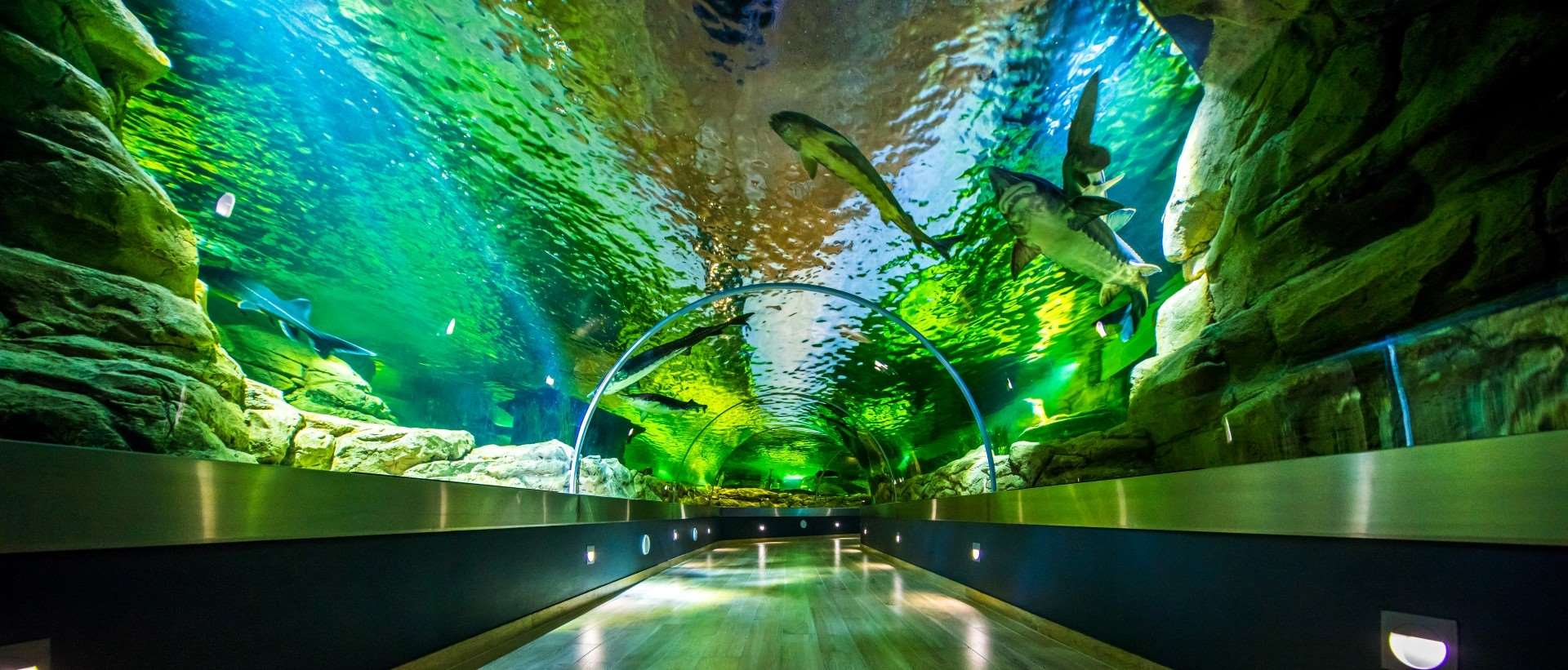 Lietuvos jūrų muziejus