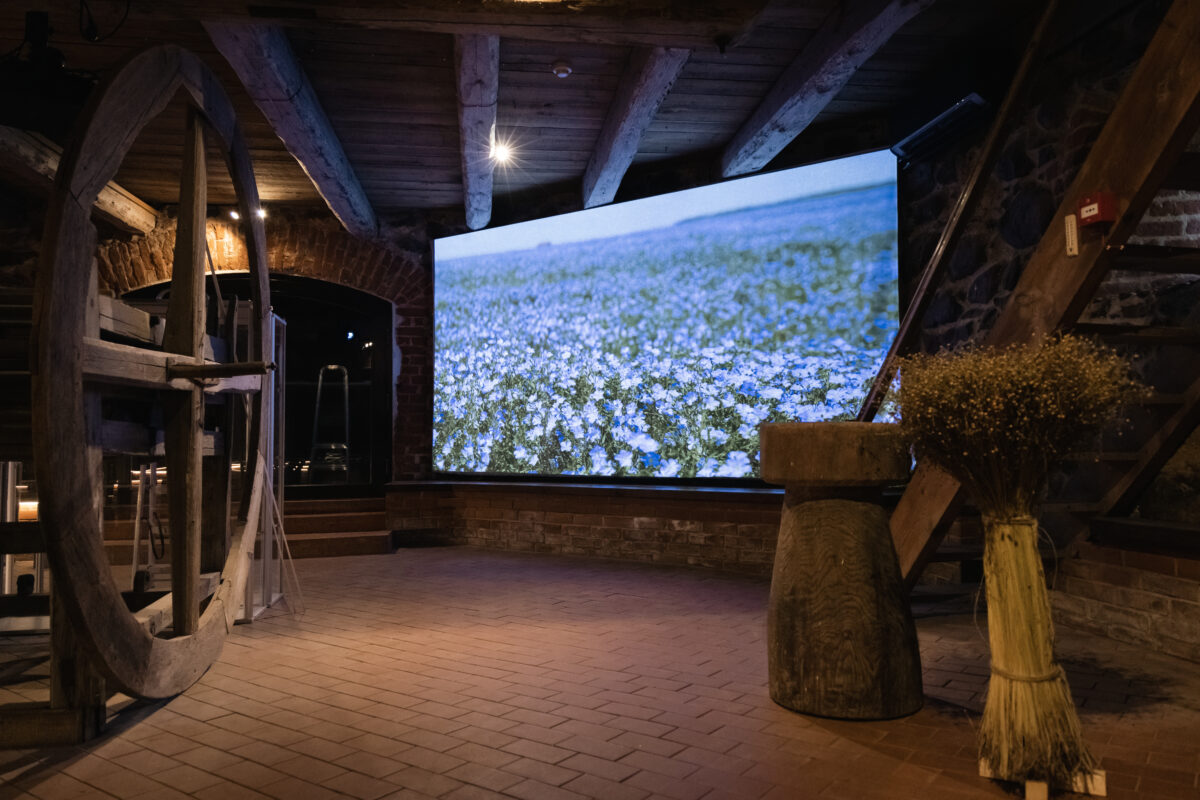 Nauja patirtis Panevėžio rajone: dvi interaktyvios parodos jau laukia lankytojų