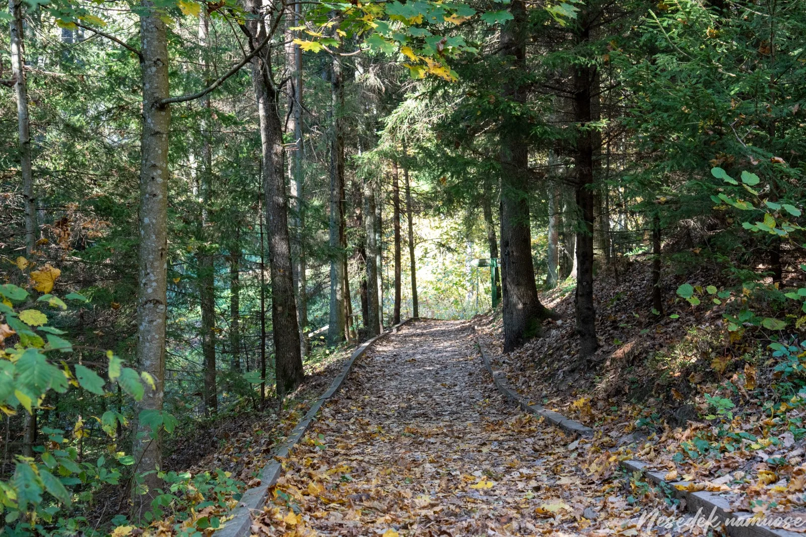 Lopaičių pažintinis takas (nuotr. iš „Nesėdėk namuose“ svetainės)