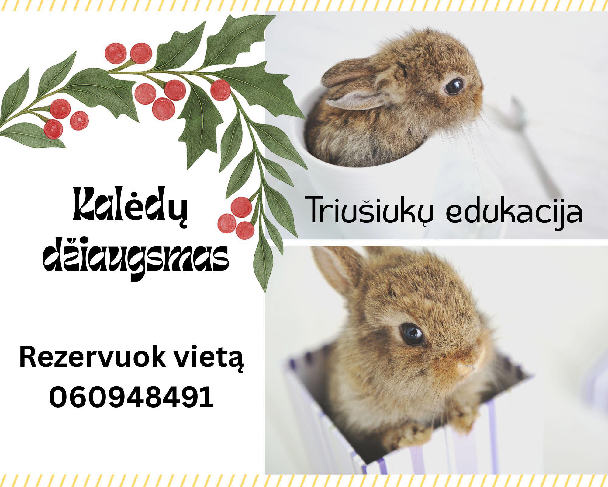 Magiškų kiaušinių edukacija su triušiukais