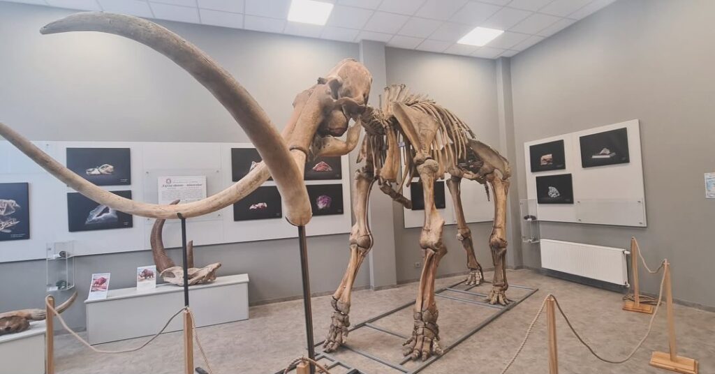 Žemės gelmių centre - mamutas Goša: 6 metrai po žeme ir 130 tūkst. metų istorijos