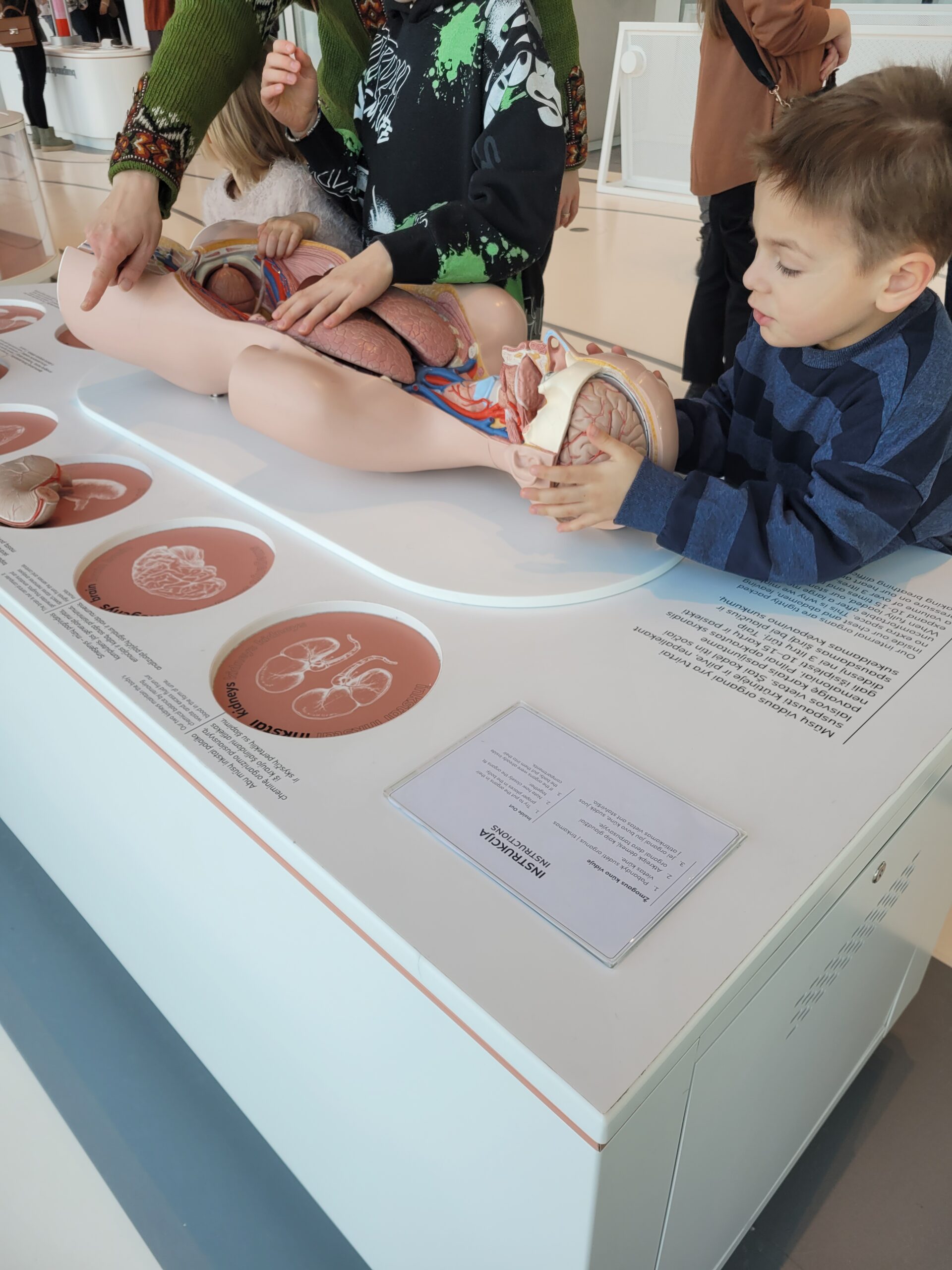 Ekspozicija apie žmogaus kūną