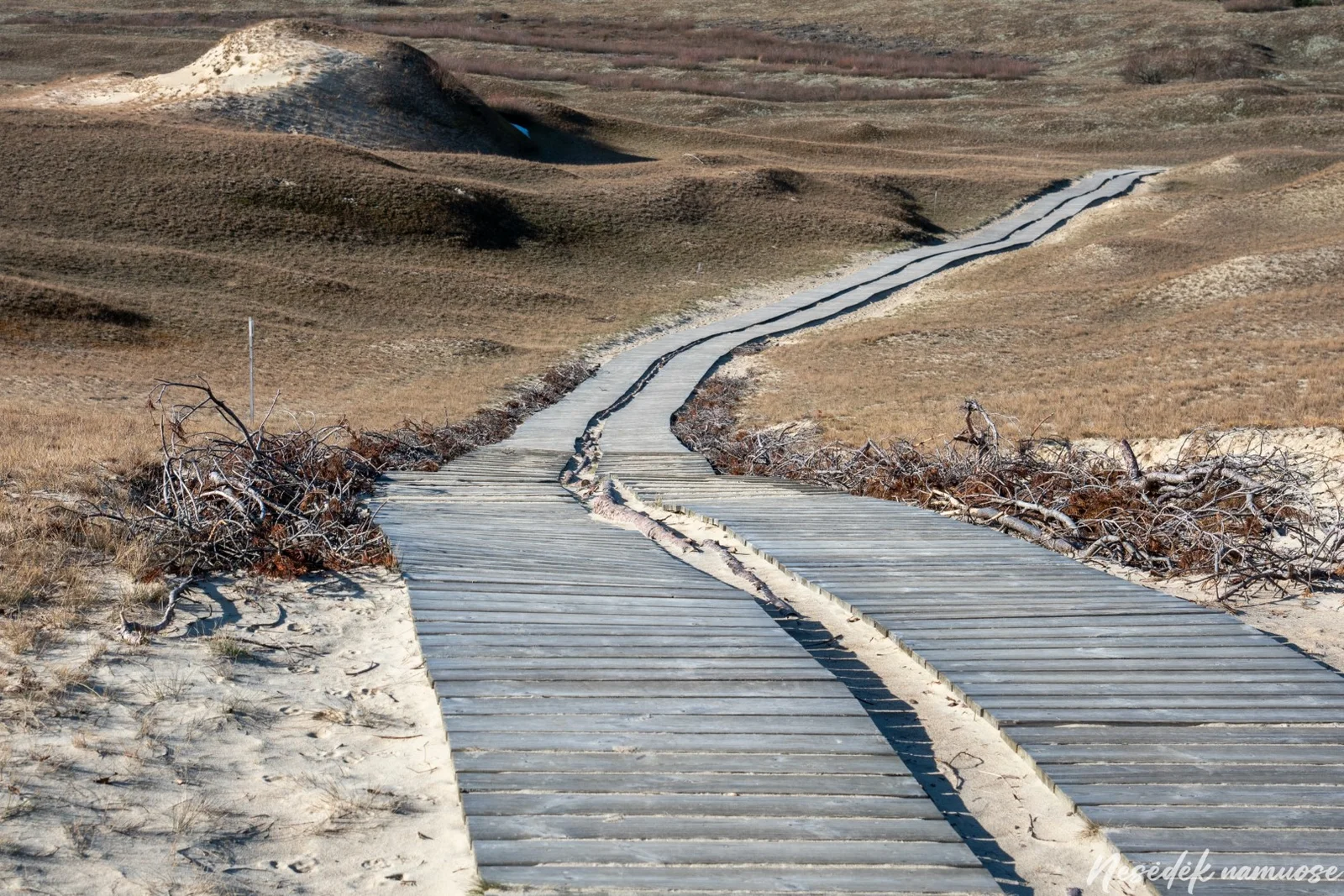 Naglių gamtinio rezervato pažintinis takas (nuotr. iš „Nesėdėk namuose“ svetainės)