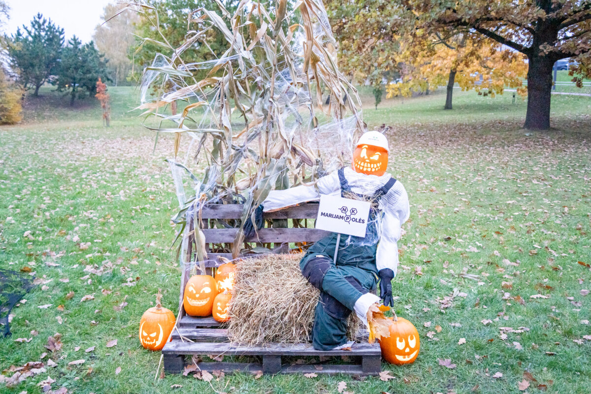 Šviečiančių moliūgų parkas Marijampolėje Poezijos parke