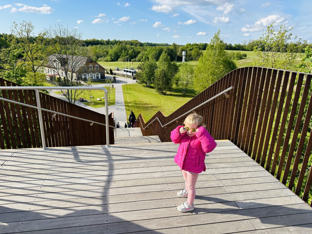 Gražiausi apžvalgos bokštai Lietuvoje: vietos, kur atsiveria įspūdingi vaizdai