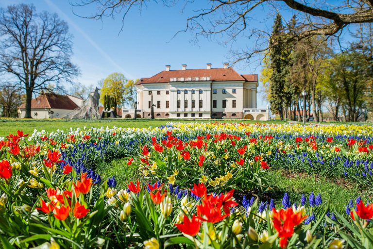 Tulpių ir pavasario gėlių festivalis