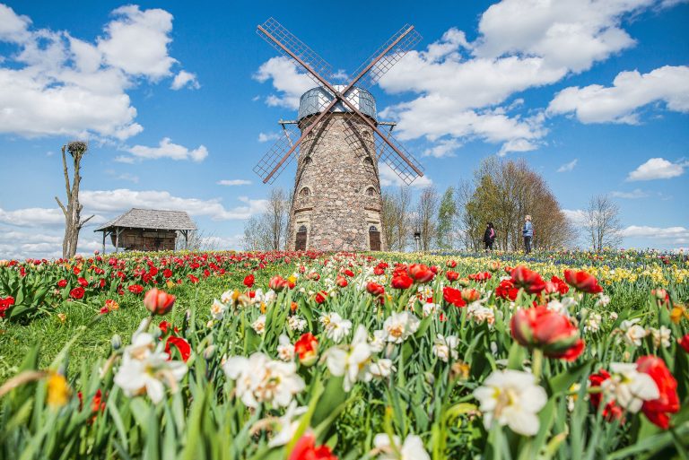 Kur žydi pavasario gėlės