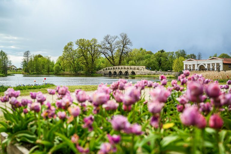 Tulpių ir pavasario gėlių festivalis