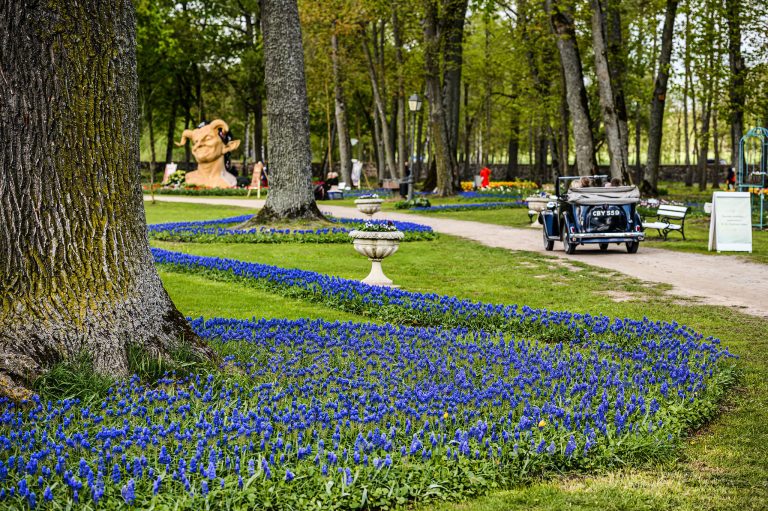 Tulpių ir pavasario gėlių festivalis