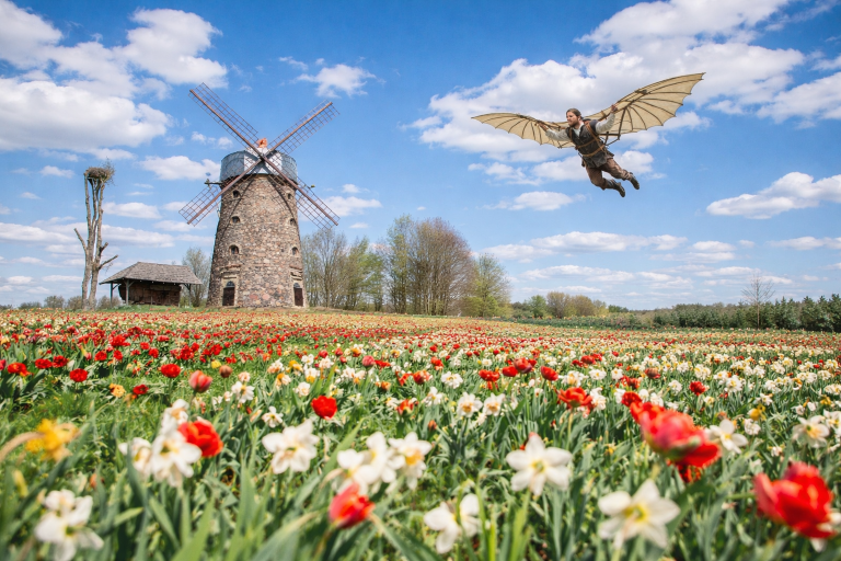 Pakruojo dvare - tulpių festivalis „Renesansas“