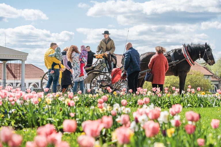 Tulpių ir pavasario gėlių festivalis