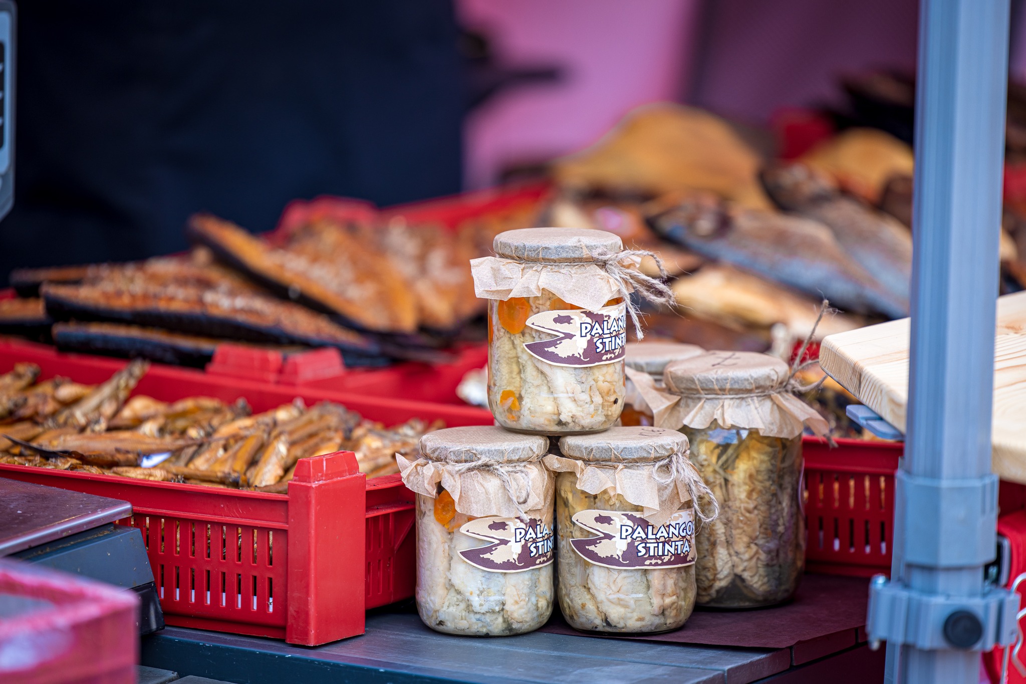 Palangos stinta 2026