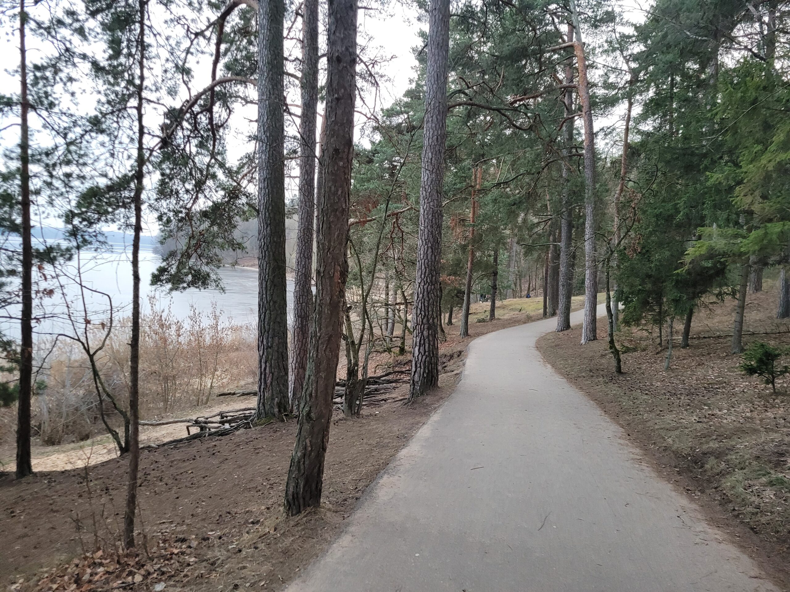 Pasivaikščiojimo takas į Kauno Jachtklubą