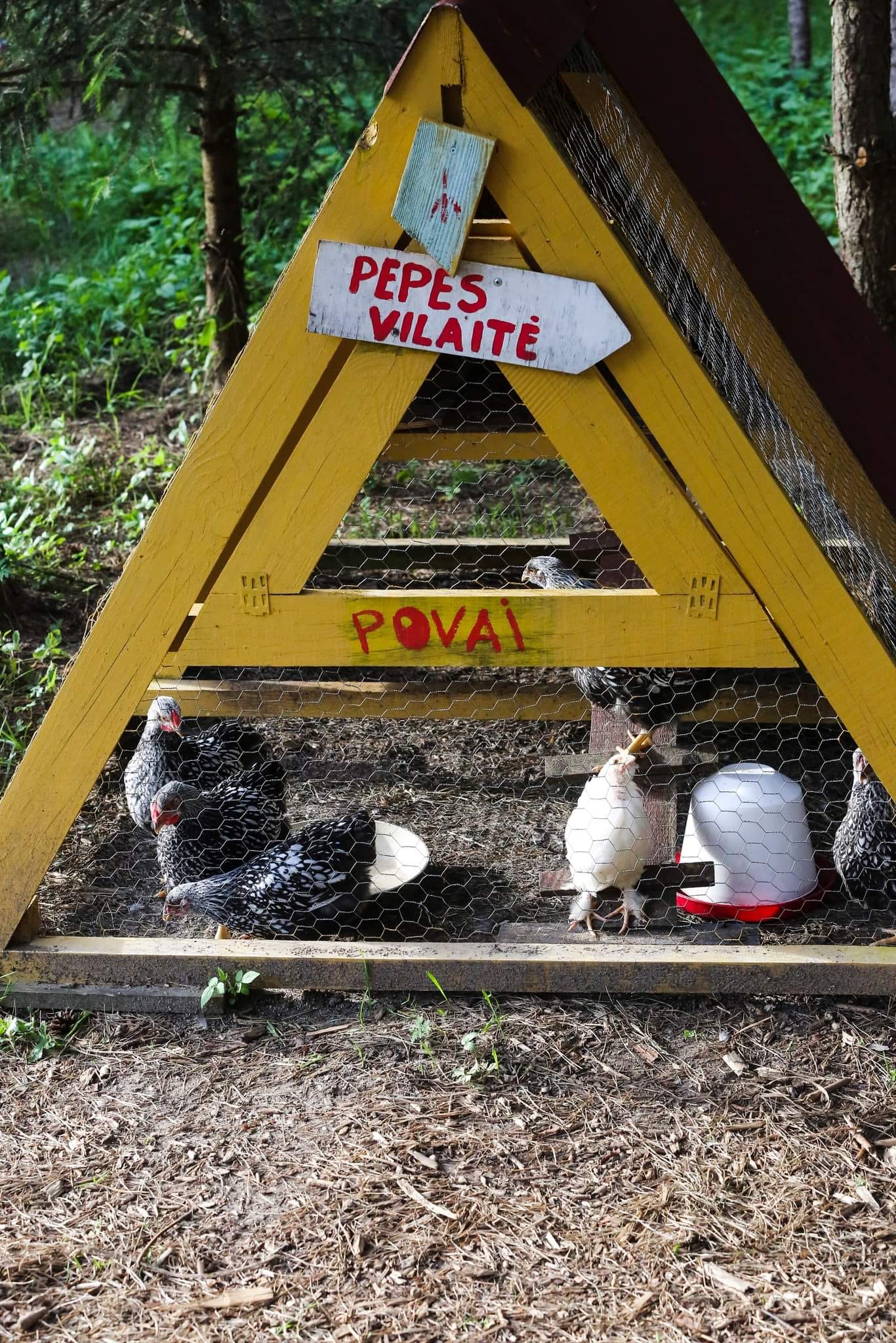 Gyvūnų ūkis Pepės vilaitėje