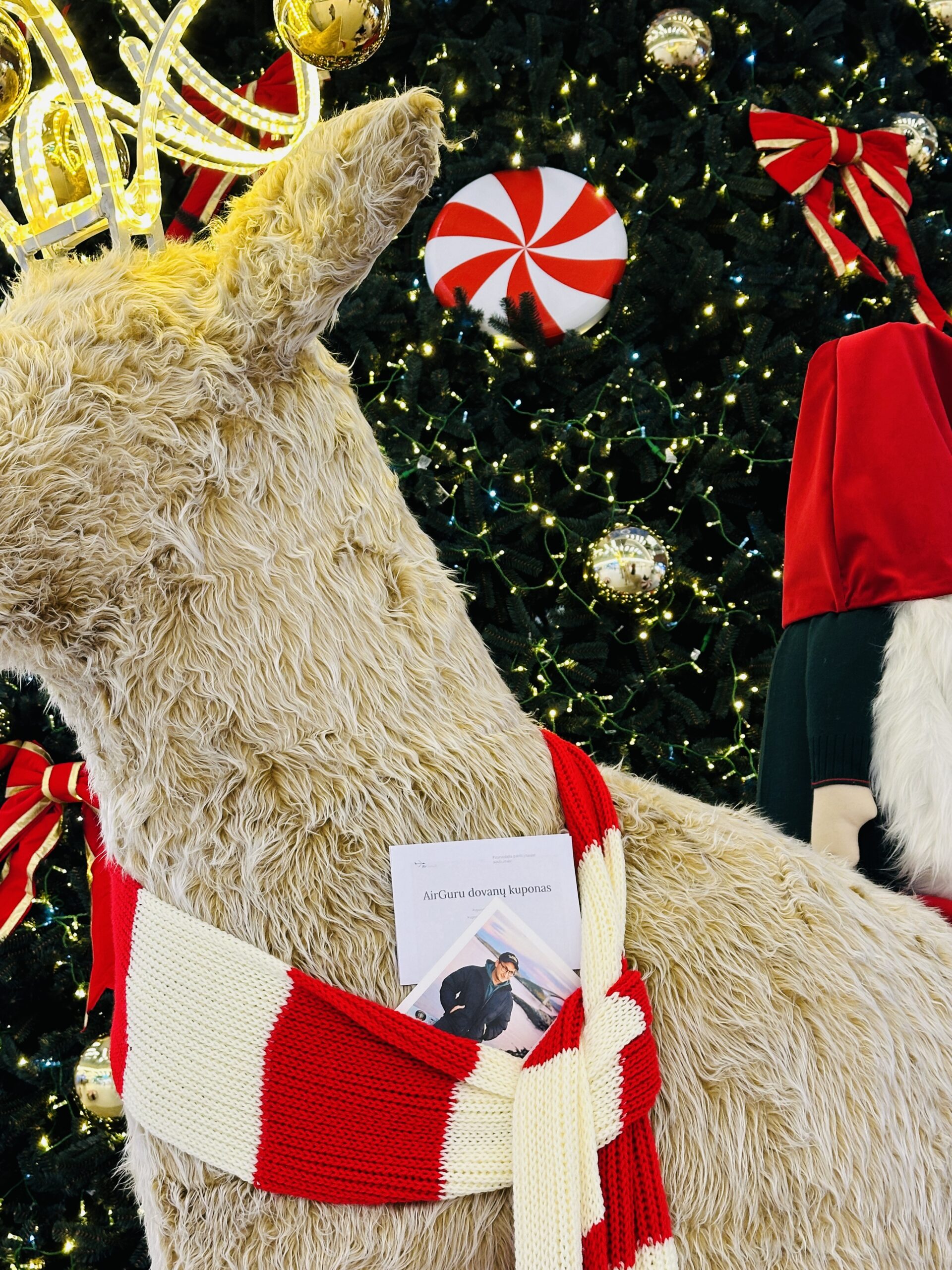 AirGuru dovanų kuponas kelionei