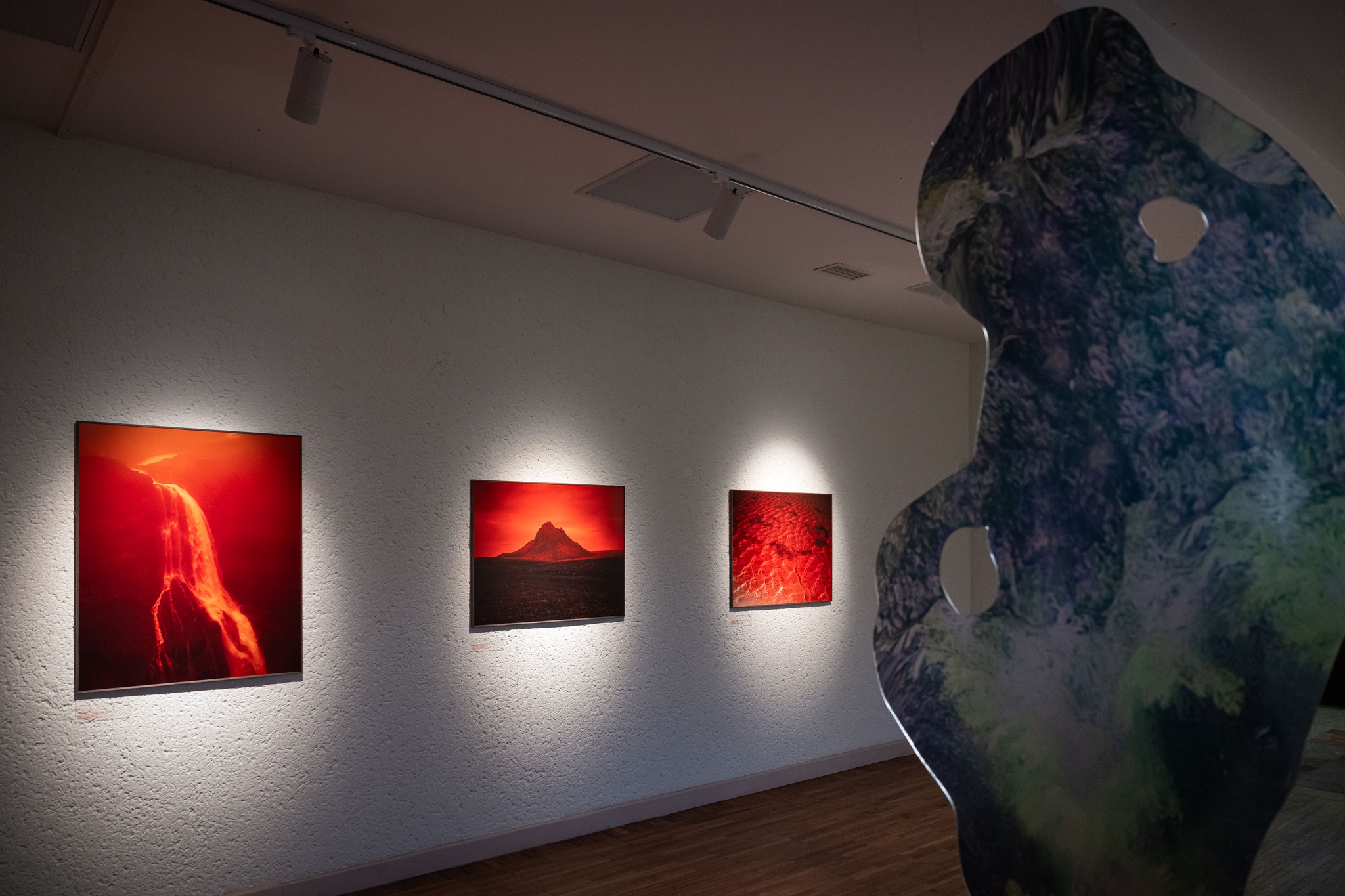 LNDM Prano Domšaičio galerija Klaipėdoje