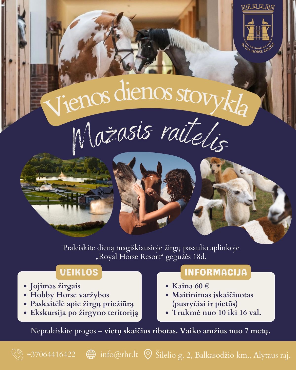 Royal Horse Resort stovykla "Mažasis raitelis" Royal Horse Resort stovykla "Mažasis raitelis"