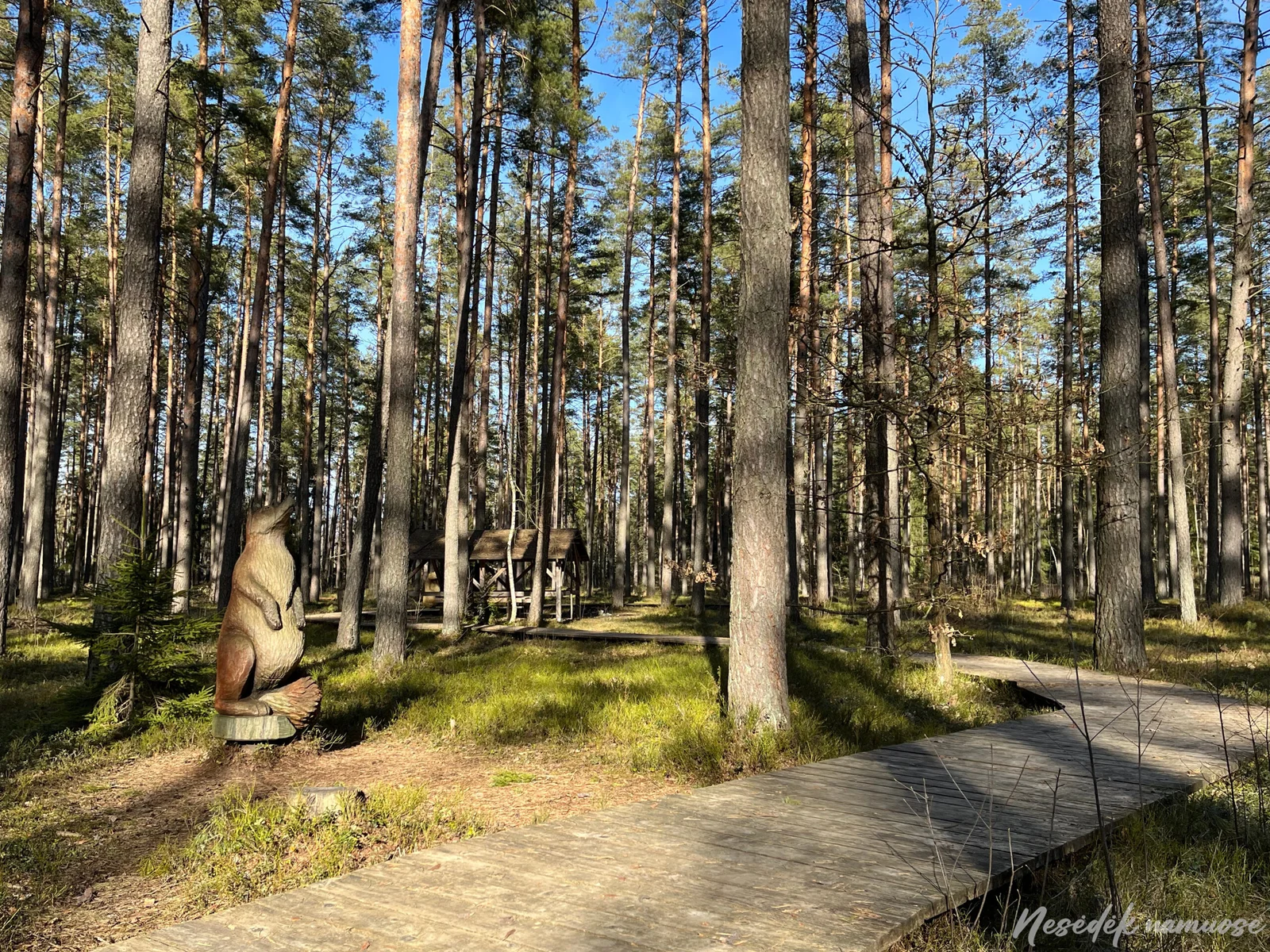 Sakiškių rekreacinė poilsiavietė