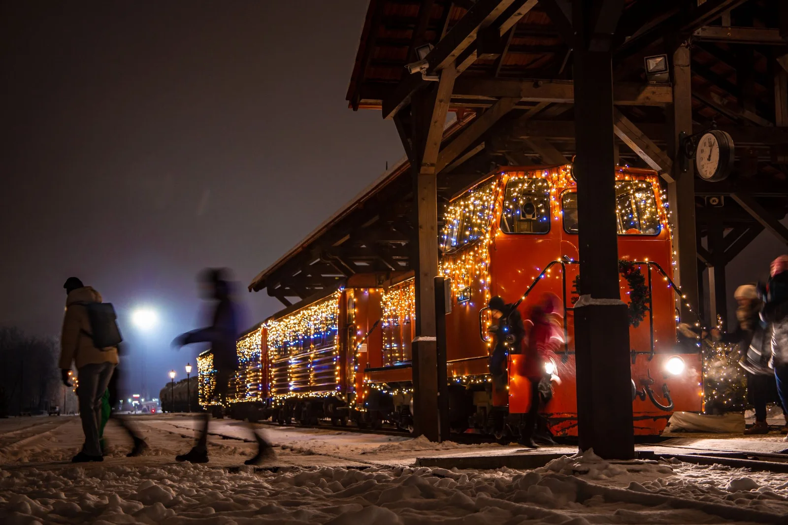 Kalėdinis Siaurukas