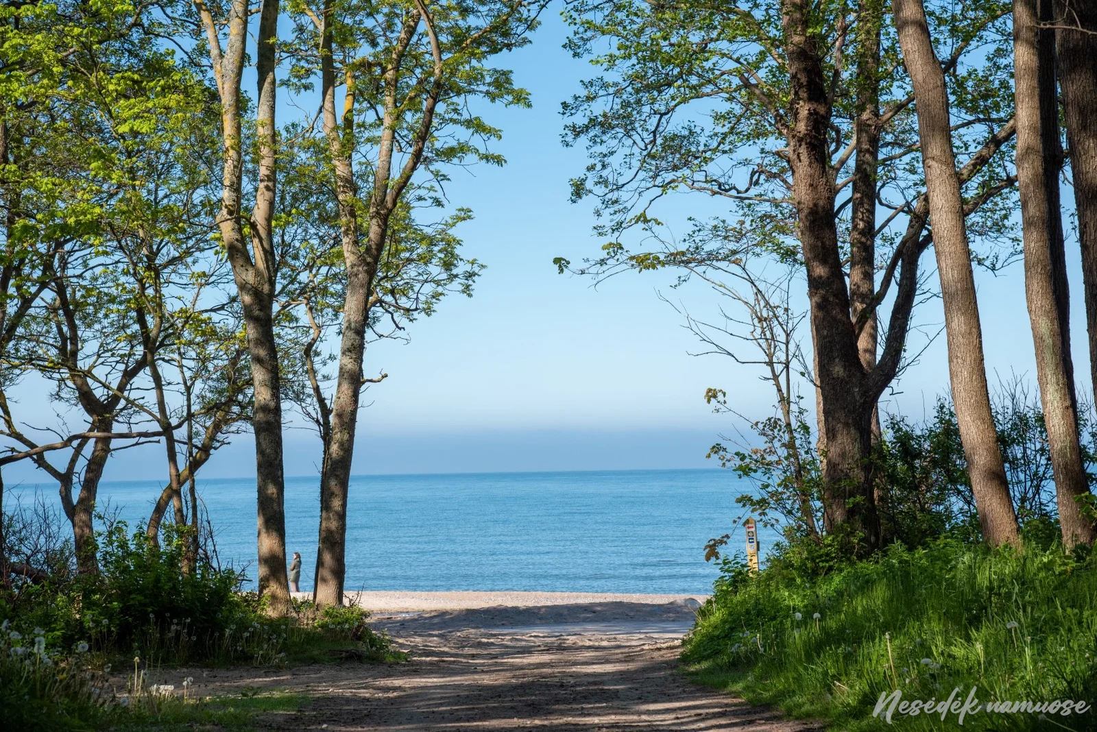Sveikatingumo takai Klaipėdoje (nuotr. iš „Nesėdėk namuose“ svetainės)