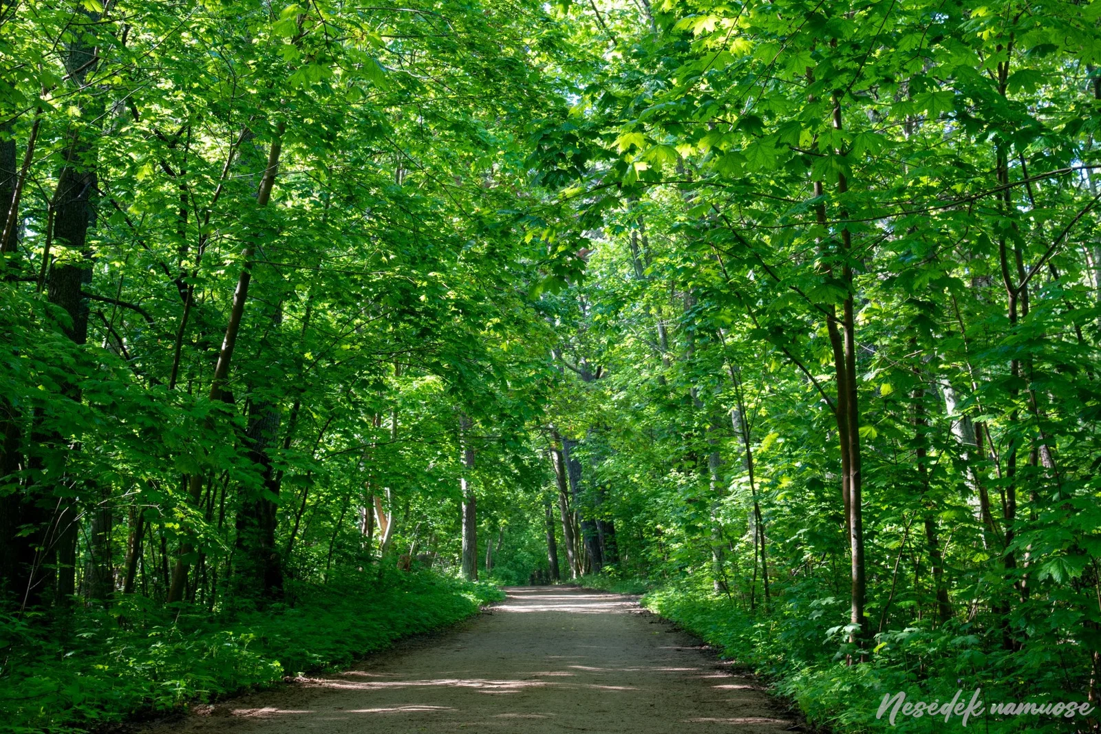 Sveikatingumo takai Klaipėdoje (nuotr. iš „Nesėdėk namuose“ svetainės)