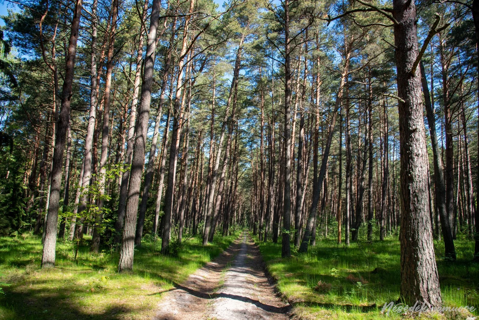 Sveikatingumo takai Klaipėdoje (nuotr. iš „Nesėdėk namuose“ svetainės)