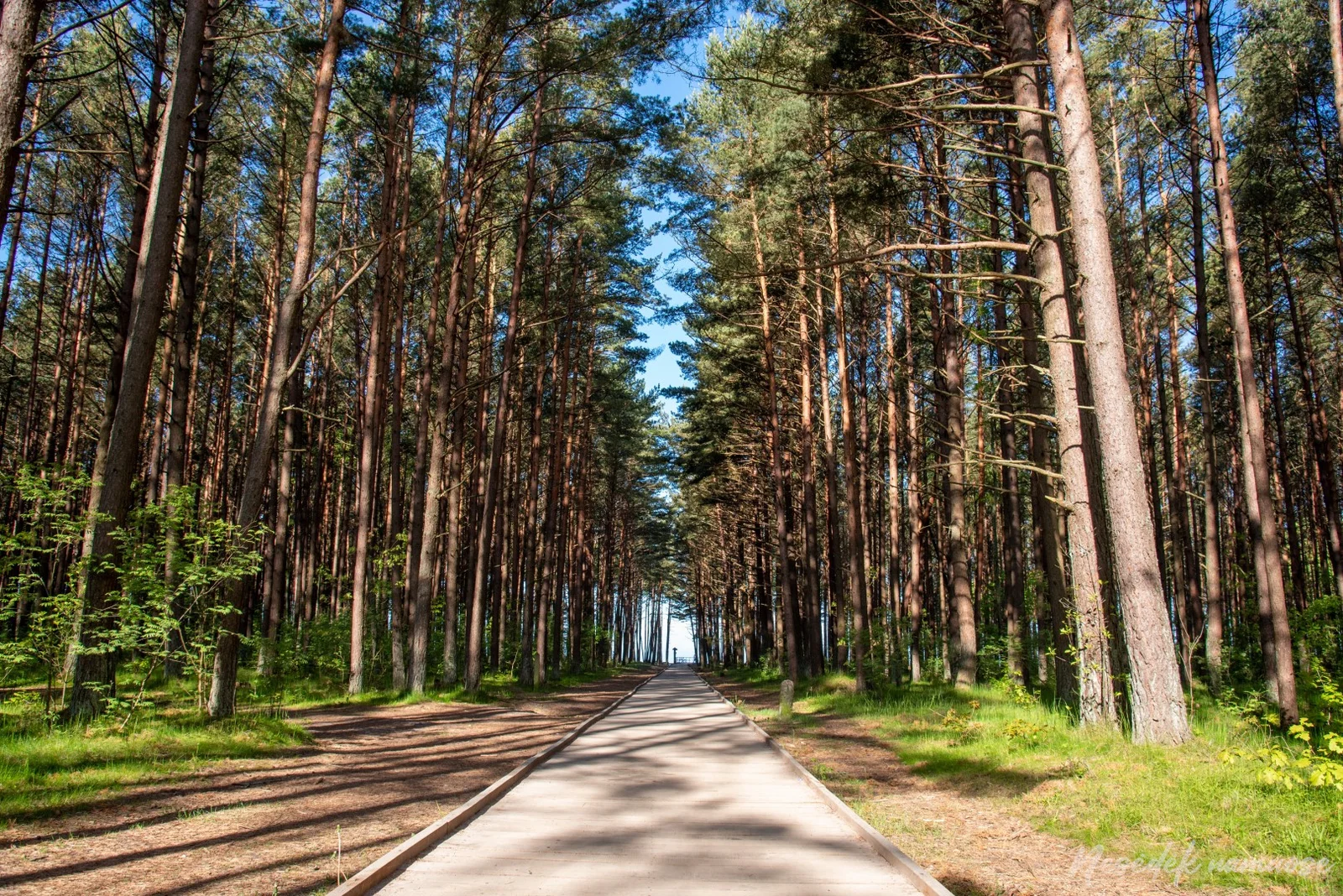 Sveikatingumo takai Klaipėdoje (nuotr. iš „Nesėdėk namuose“ svetainės)