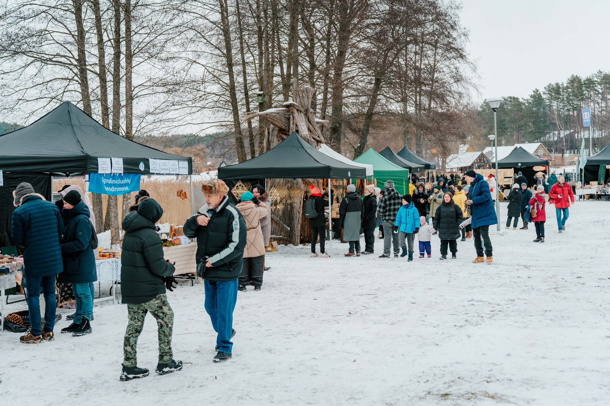 Trauk stintelę Palūšėje