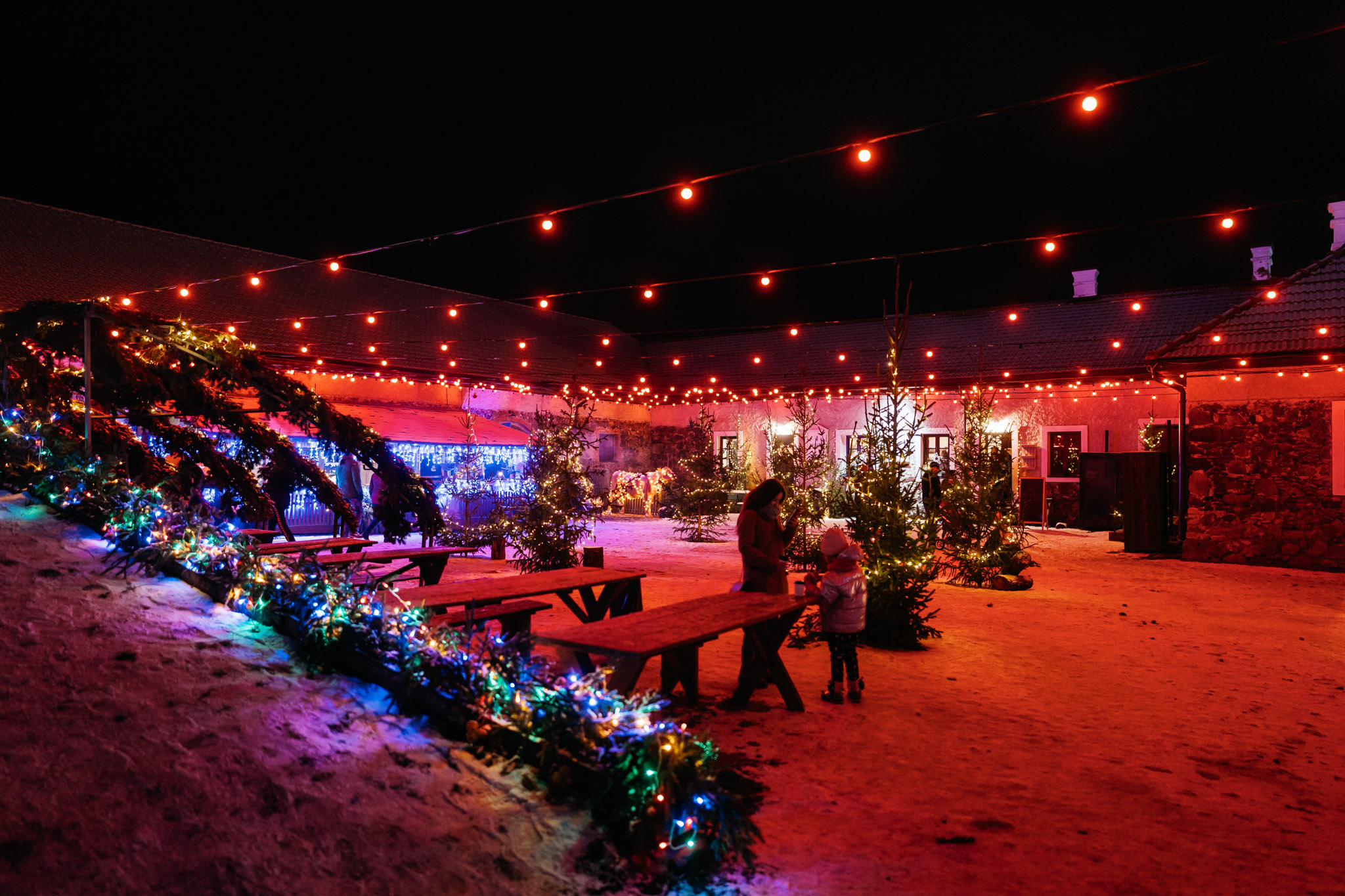 Kalėdos Pakruojo dvare