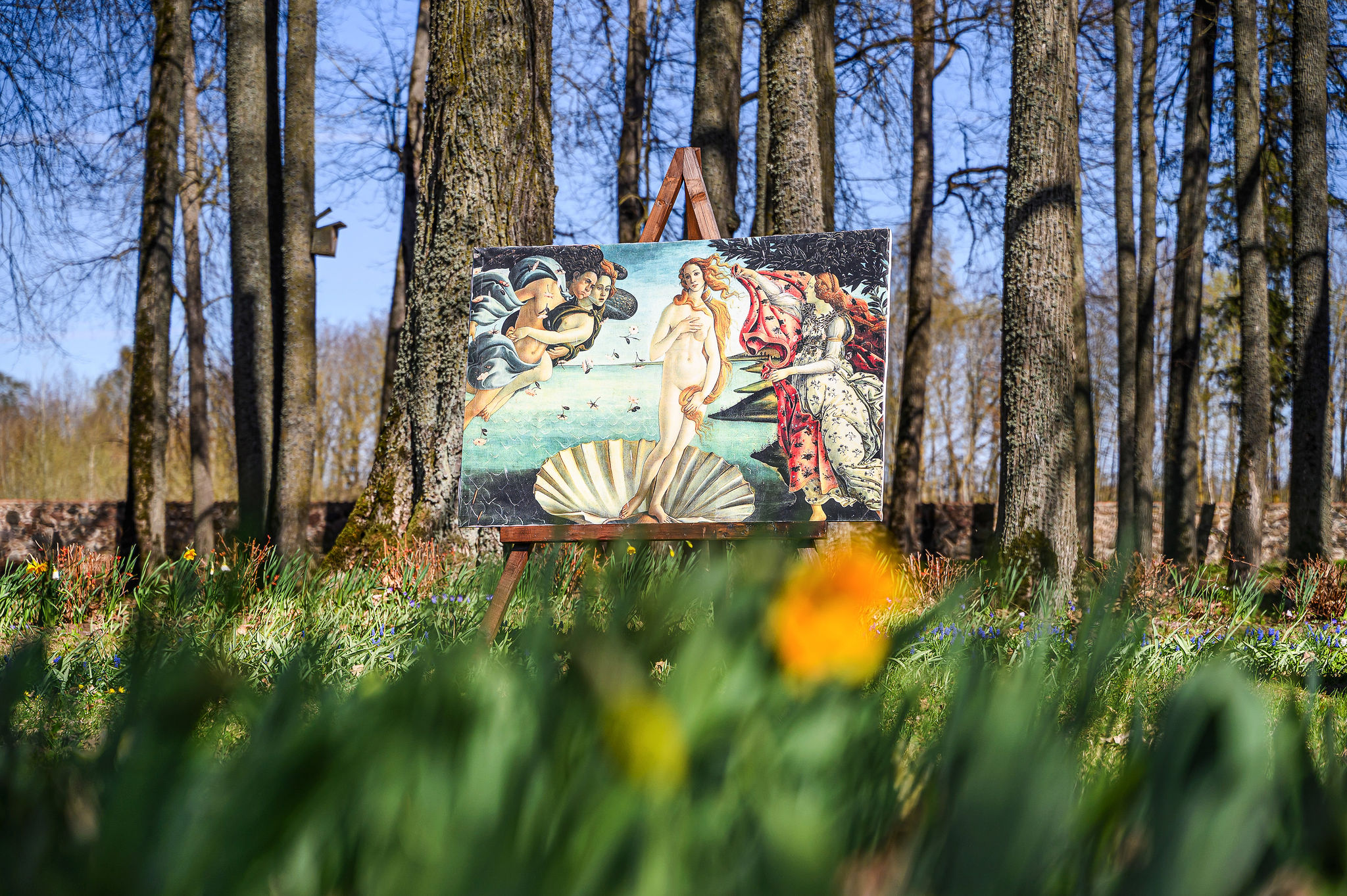 Motinos dienos proga – savaitgalis tarp milijonų gėlių Pakruojo dvare