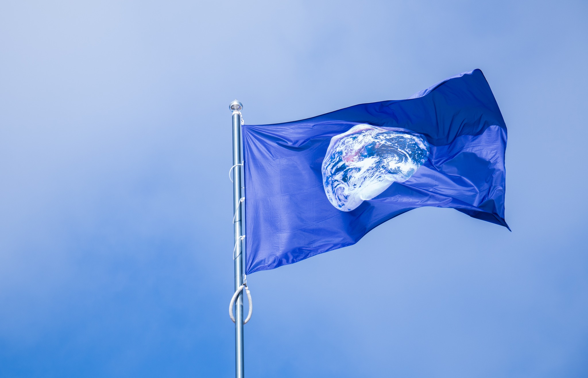 Žemės dienos renginiai Šiauliuose Paukščių ir šikšnosparnių inkilų paroda (nuotr. Liubov Yarmoshenko)