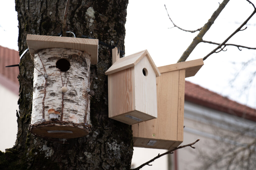 Gamtos ir kultūros dialogas Žemės dienos proga Šiauliuose