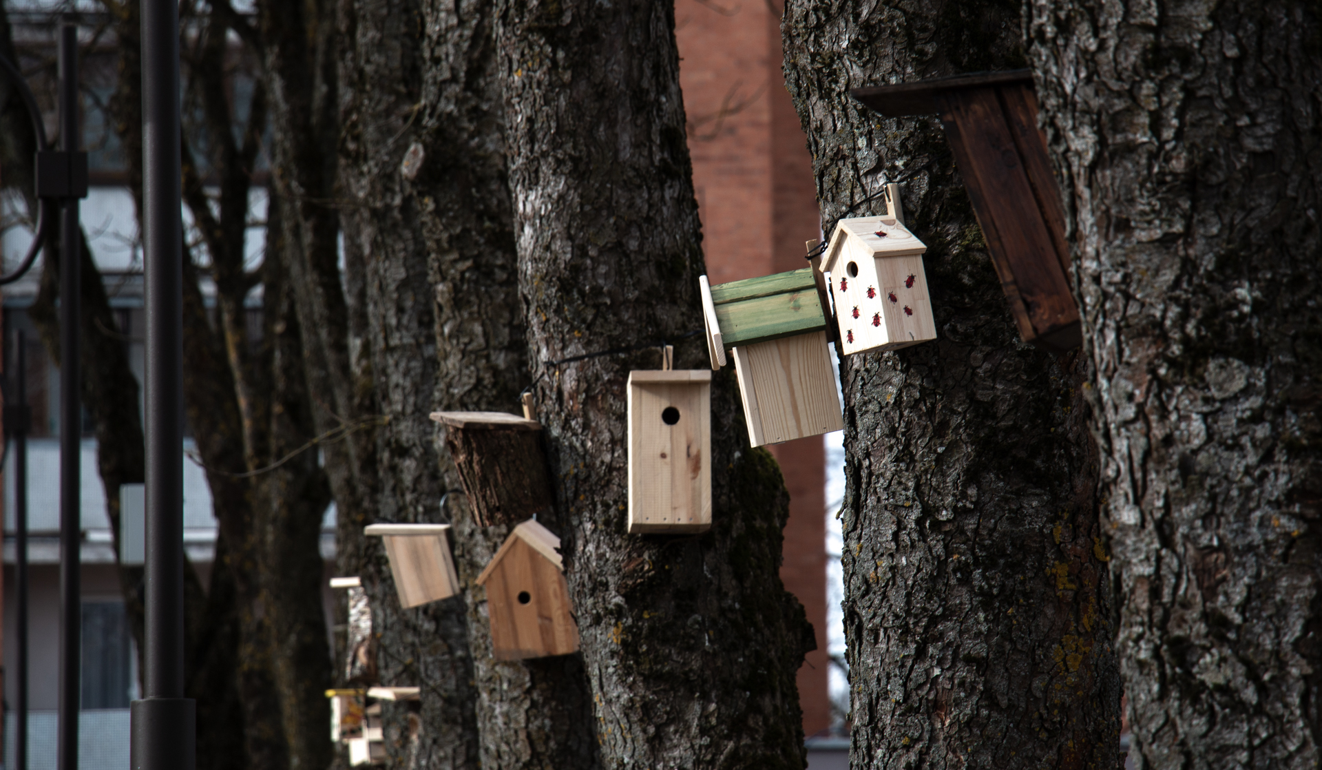Paukščių ir šikšnosparnių inkilų paroda (nuotr. Liubov Yarmoshenko)