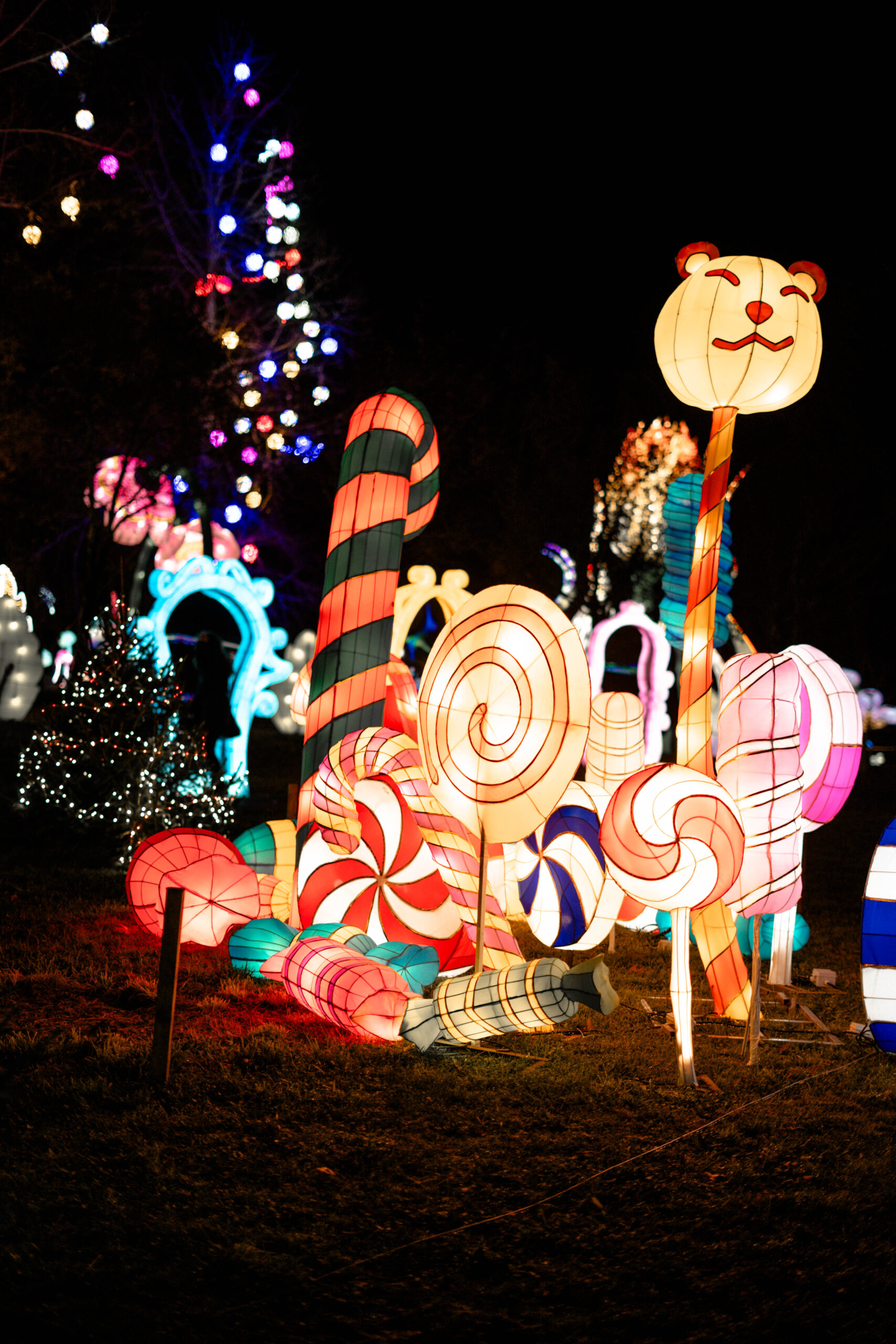 Alisa Stebuklų šalyje Castel Novel pilyje