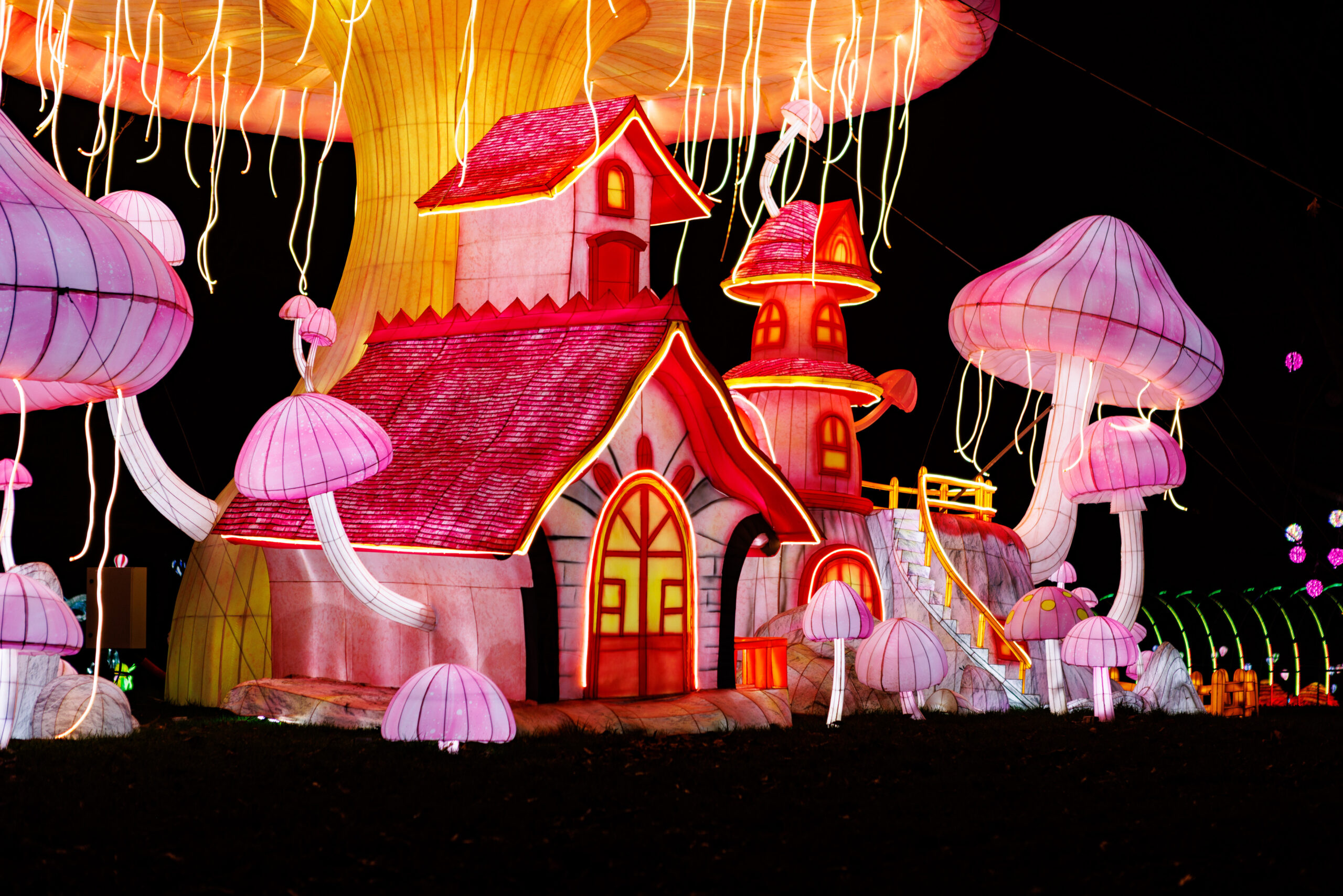 Lietuvoje kurtas didysis šviesos ir žibintų festivalis šiemet tapo didžiausiu Prancūzijoje