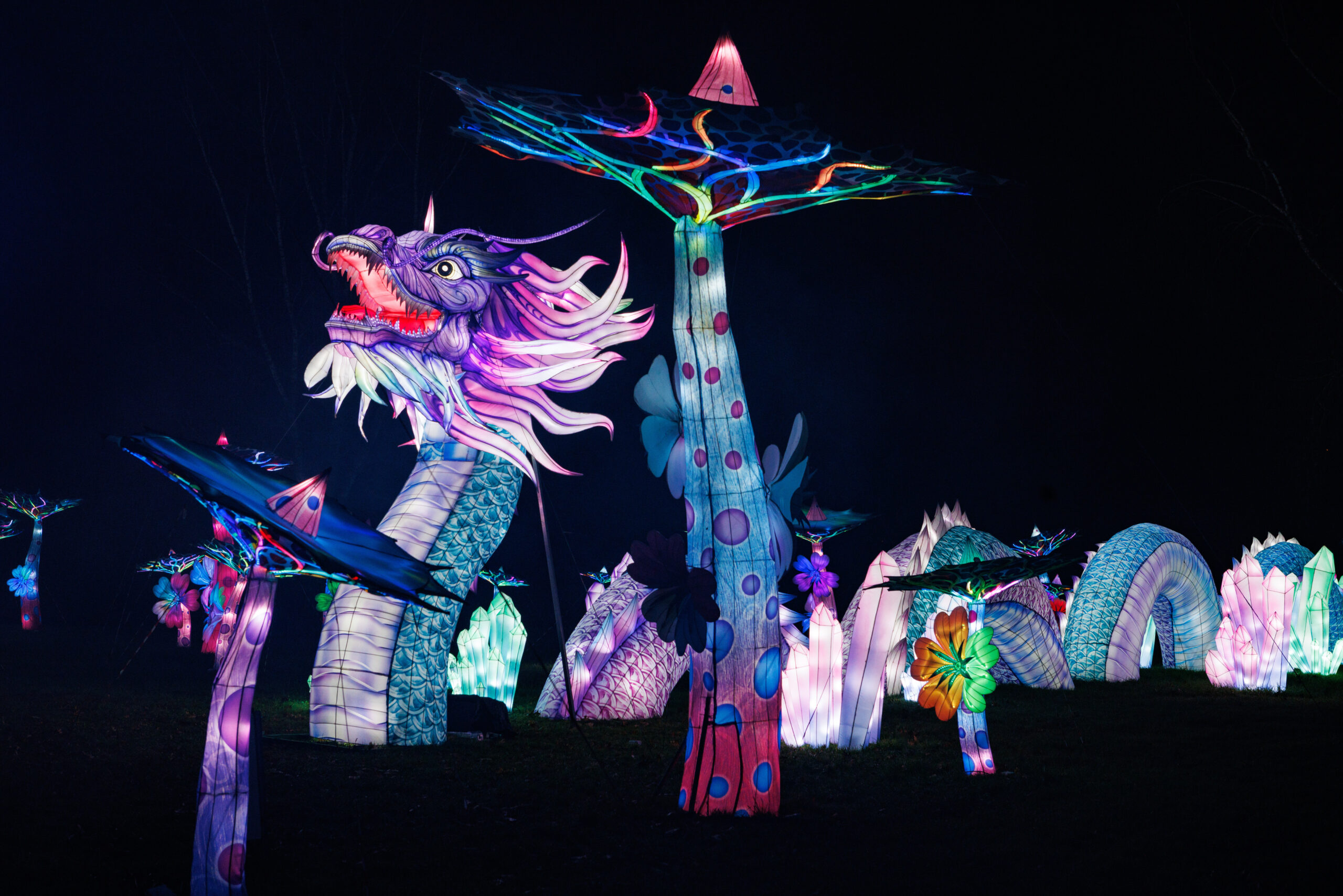 Didysis šviesos ir žibintų festivalis Féérie des Lanternes Castel Novel pilyje