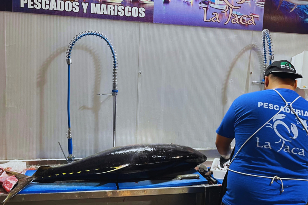 Kokias žuvis ragauti Tenerifėje