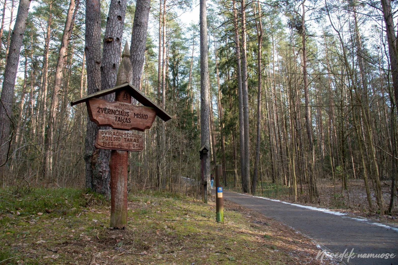 Žvėrinčiaus miško takas (nuotr. iš „Nesėdėk namuose“ svetainės)