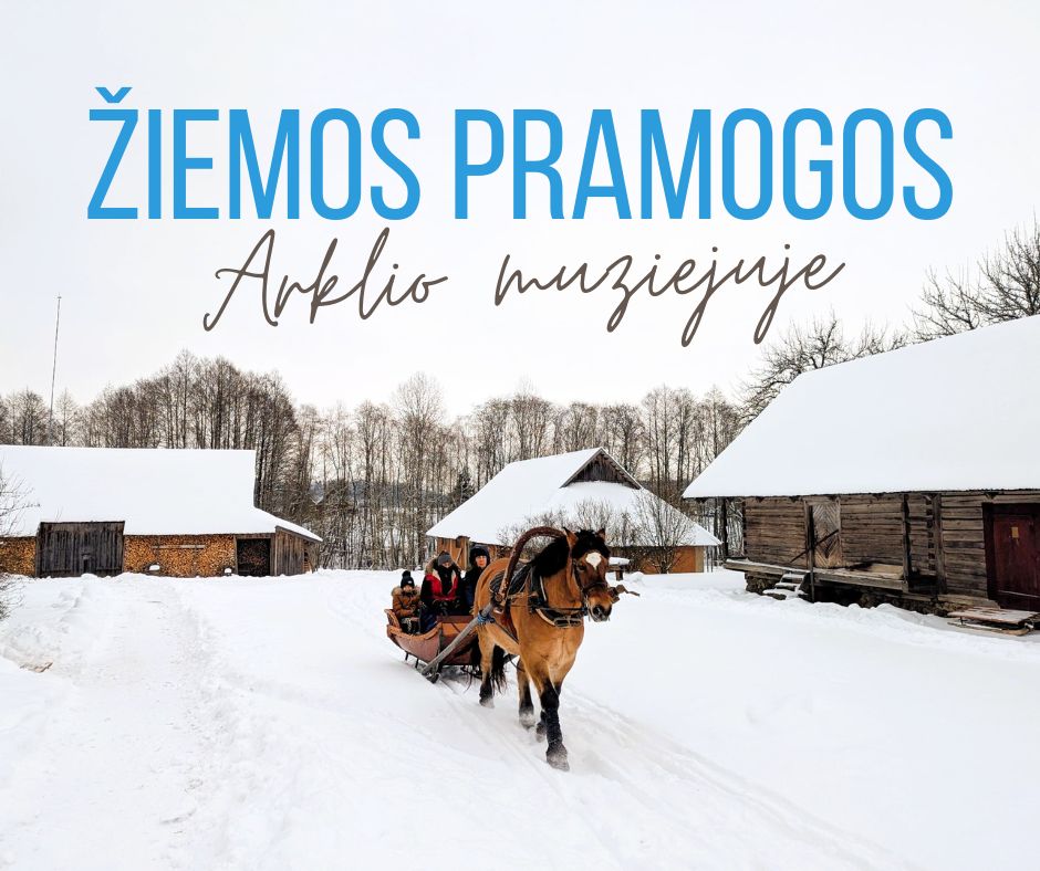 Žiemos pramogos Arklio muziejuje