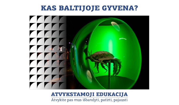 Lietuvos Jūrų muziejaus nuotr.