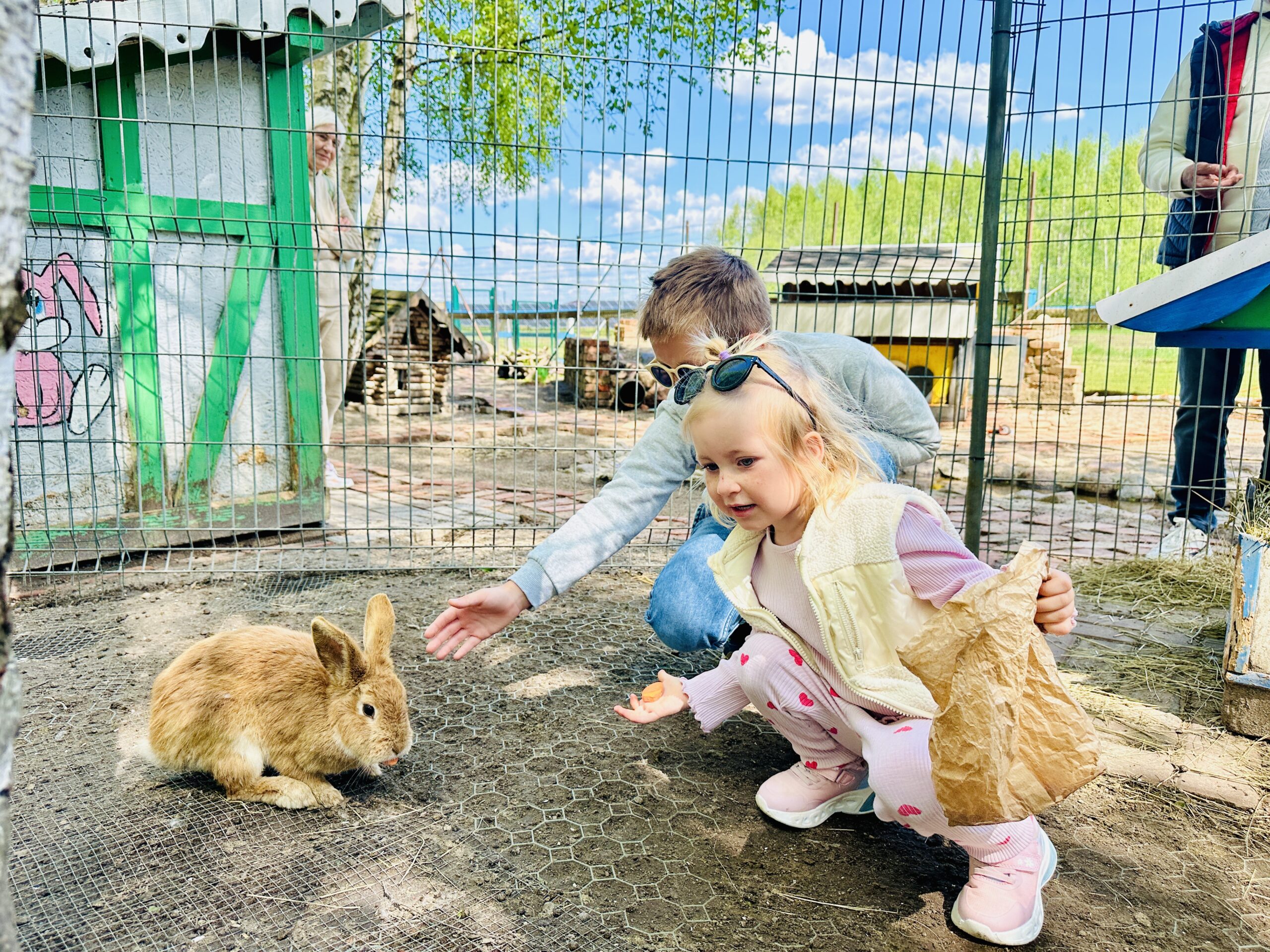 Įsimintiniausios edukacijos vaikams su gyvūnais Lietuvoje