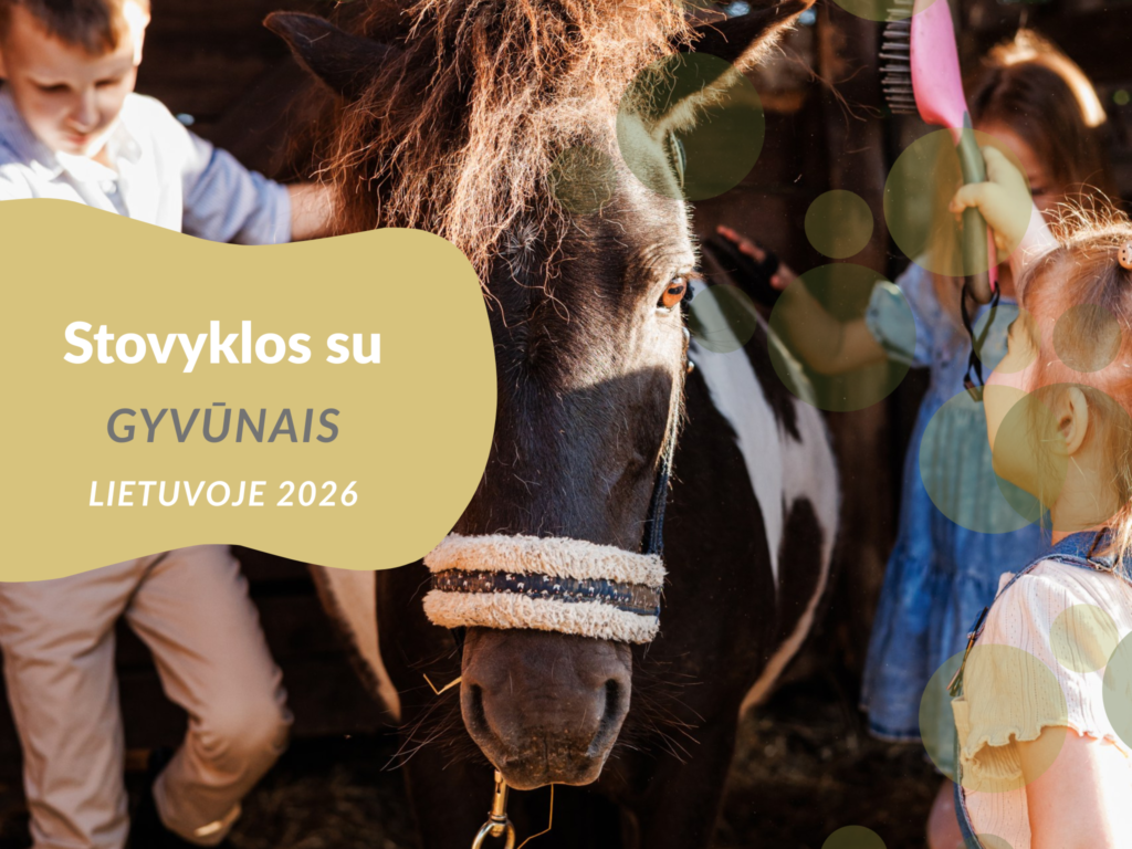 Vasaros stovyklos su gyvūnais 2026