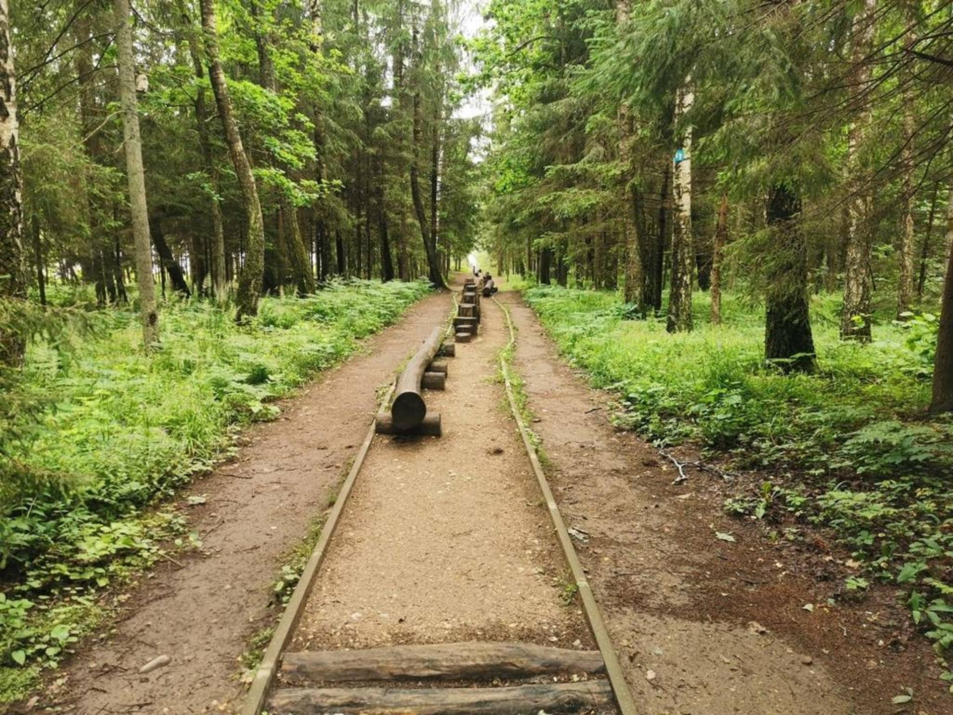 Ilgio ežero pažintinis takas (Žemaitijos turizmo informacijos centro nuotr.)